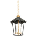TROY LIGHTING, WILDOMAR LANTERN, LANTERN CEILING LIGHT