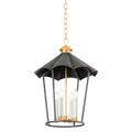 TROY LIGHTING, WILDOMAR LANTERN, LANTERN CEILING LIGHT