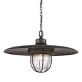 Troy Lighting, ACME PENDANT, PENDANT LIGHT