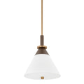 TROY LIGHTING, STATON PENDANT, PENDANT LIGHT