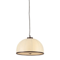 Troy Lighting, Rodrick Pendant, PENDANT LIGHT