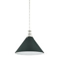 HUDSON VALLEY LIGHTING, PAINTED NO. 2 PENDANT, PENDANT LIGHT