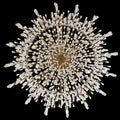 ALLEGRI, FRANGIA PENDANT, PENDANT LIGHT