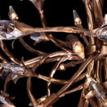 KALCO, FIORE CHANDELIER, CHANDELIER LIGHT