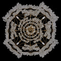 ALLEGRI, CADERE CHANDELIER, PENDANT LIGHT