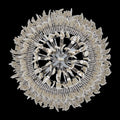 ALLEGRI, FARFALLE CHANDELIER, CHANDELIER LIGHT