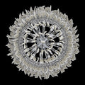 ALLEGRI, FARFALLE CHANDELIER, CHANDELIER LIGHT