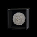 ALLEGRI, LINA ESTERNO OD WALL SCONCE, WALL SCONCES
