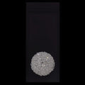 ALLEGRI, LINA ESTERNO OD WALL SCONCE, WALL SCONCES