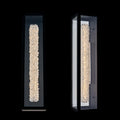 ALLEGRI, LINA ESTERNO FLUOROCARBON OUTDOOR WALL SCONCE, OUTDOOR WALL LIGHTS