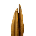 KALCO, FOLIA LED FLOOR LAMP, FLOOR LAMP