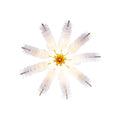 KALCO, GOSSAMER PENDANT, PENDANT LIGHT