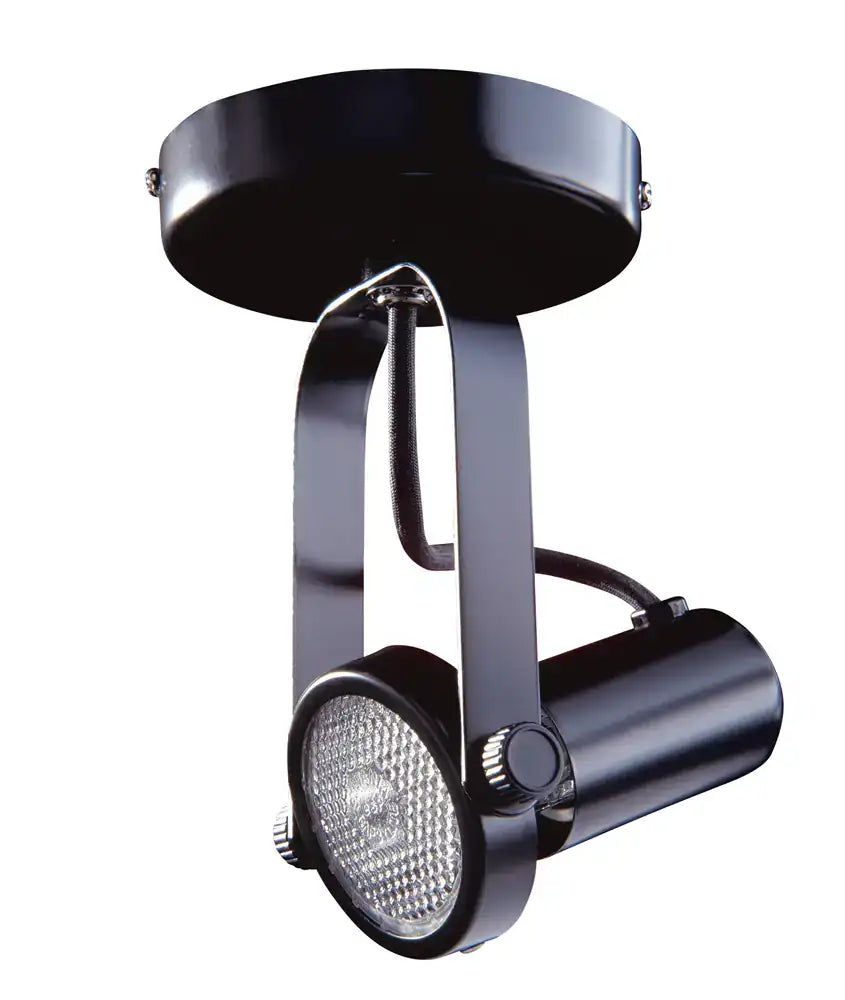 KENDAL, PAR GIMBAL MONOPOINT, PATH LIGHTS