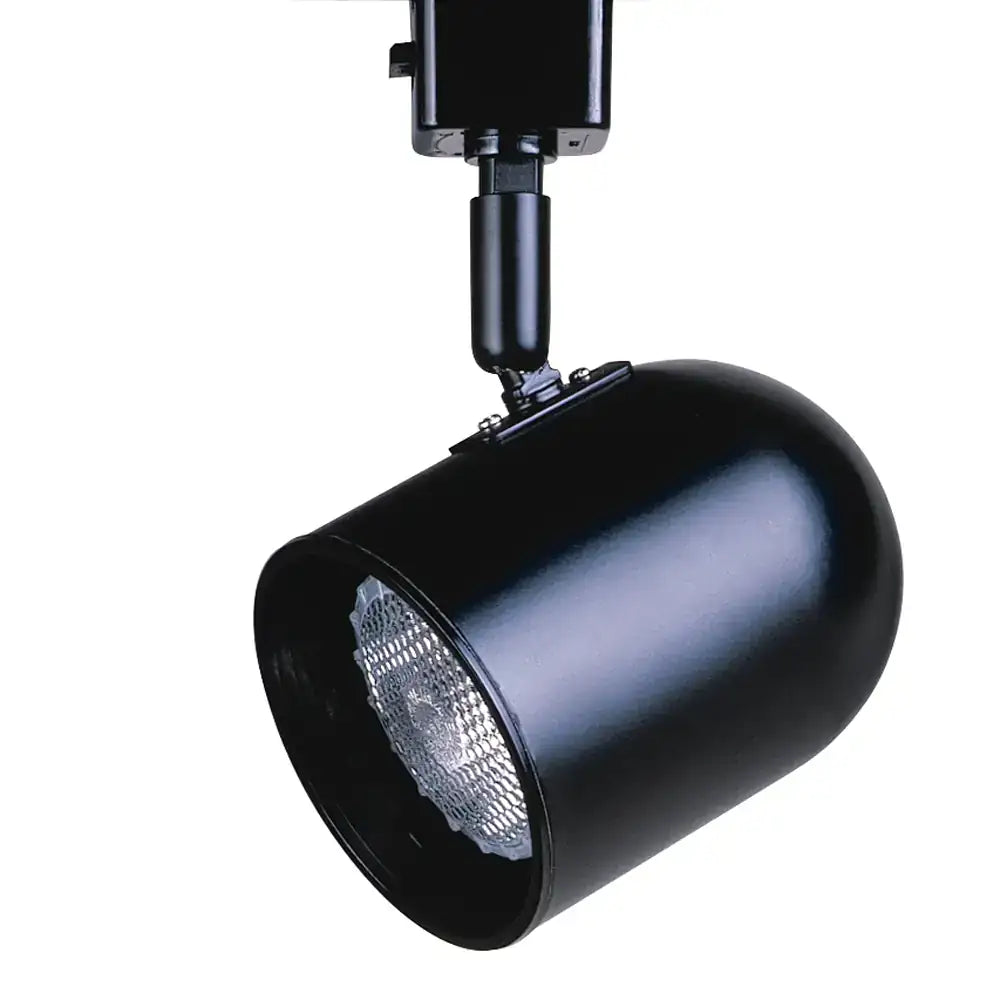 KENDAL TRAC-TECH PAR 20 TRACK CYLINDER - DO NOT SHOW ON WEBSITE