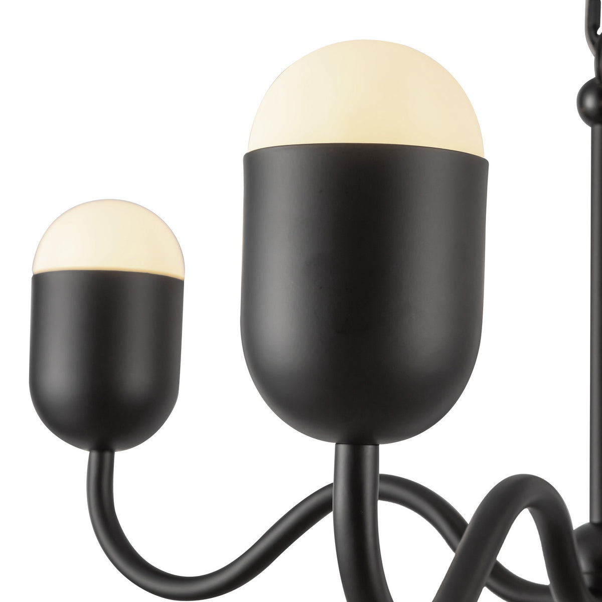ALORA, EFFIE CHANDELIERS, CHANDELIER LIGHT