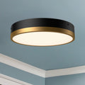ALORA MOOD, ADELAIDE FLUSH MOUNTS, FLUSH MOUNT CEILING LIGHTS