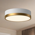 ALORA, BRISBANE FLUSH MOUNTS, FLUSH MOUNT CEILING LIGHTS 