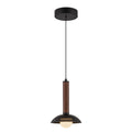 ALORA, ARDEN PENDANTS, PENDANT LIGHT