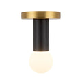 , CALLA FLUSH MOUNTS, FLUSH MOUNT CEILING LIGHTS