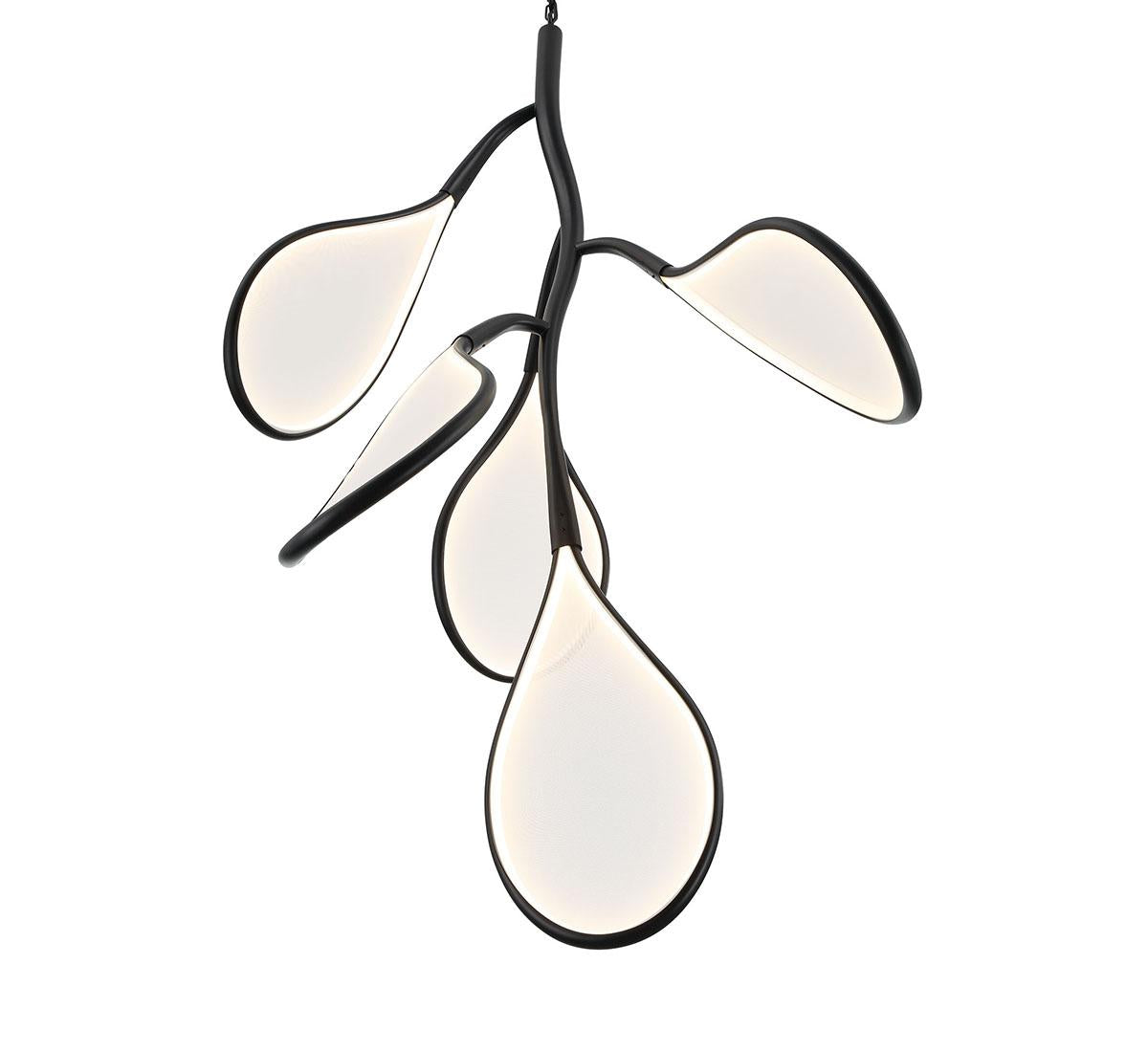 LIB & CO, VOLARE 5 LIGHT LED CHANDELIER, CHANDELIER LIGHT