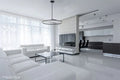 MATTEO, THE TRUNDLE PENDANT, PENDANT LIGHT