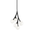 MATTEO, RAMI CHANDELIER, CHANDELIER LIGHT