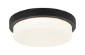 MATTEO, DURHAM CEILING MOUNT, FLUSH MOUNT CEILING LIGHTS