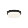 MATTEO, DURHAM CEILING MOUNT, FLUSH MOUNT CEILING LIGHTS