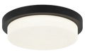 MATTEO, DURHAM CEILING MOUNT, FLUSH MOUNT CEILING LIGHTS