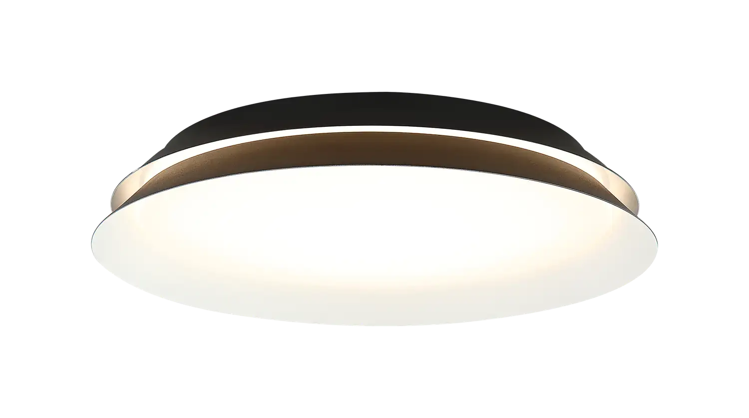 MATTEO, DAHLIA WALL SCONCE, WALL SCONCES