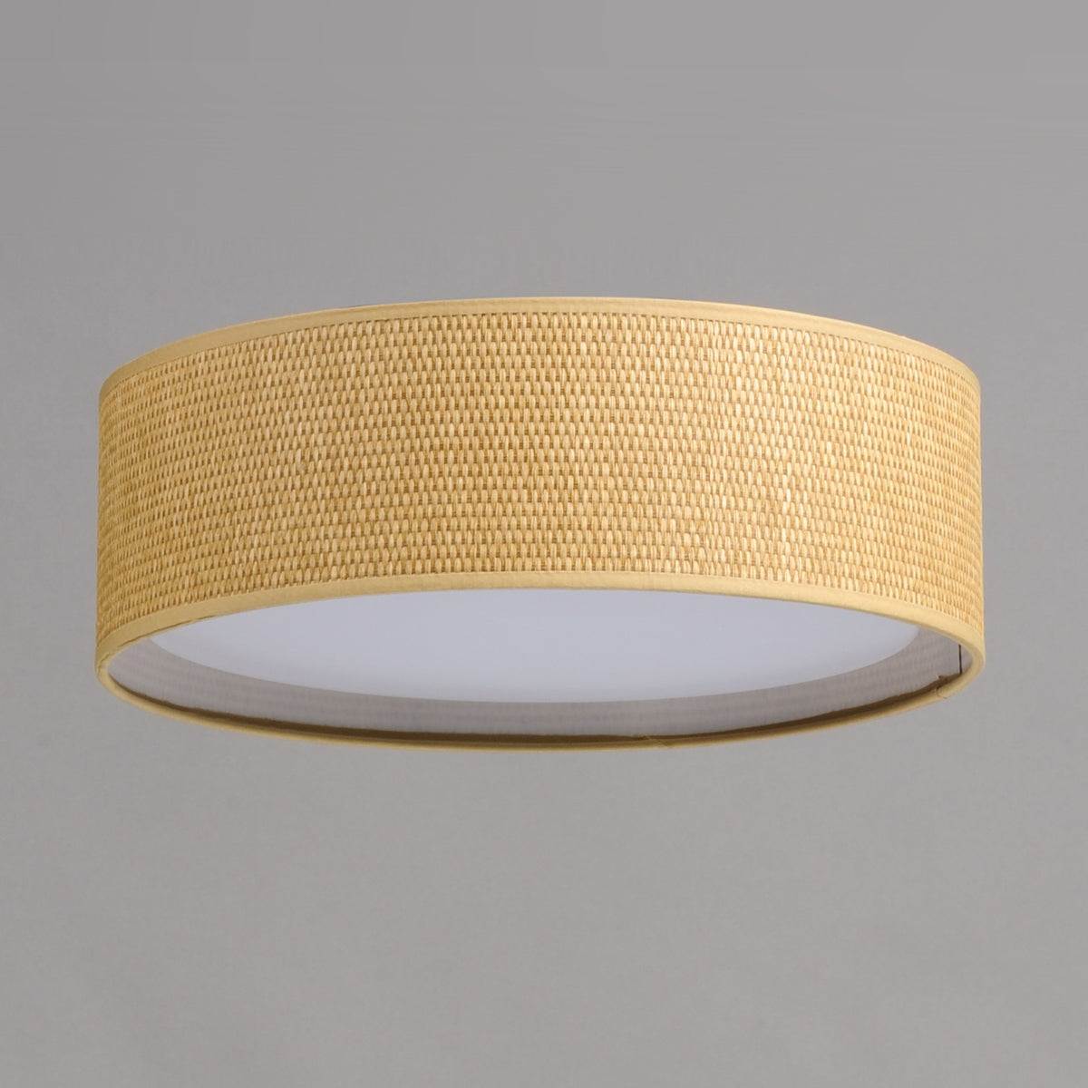 MAXIM, PRIME-FLUSH MOUNT, PENDANT LIGHT