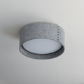 MAXIM, PRIME-FLUSH MOUNT, PENDANT LIGHT