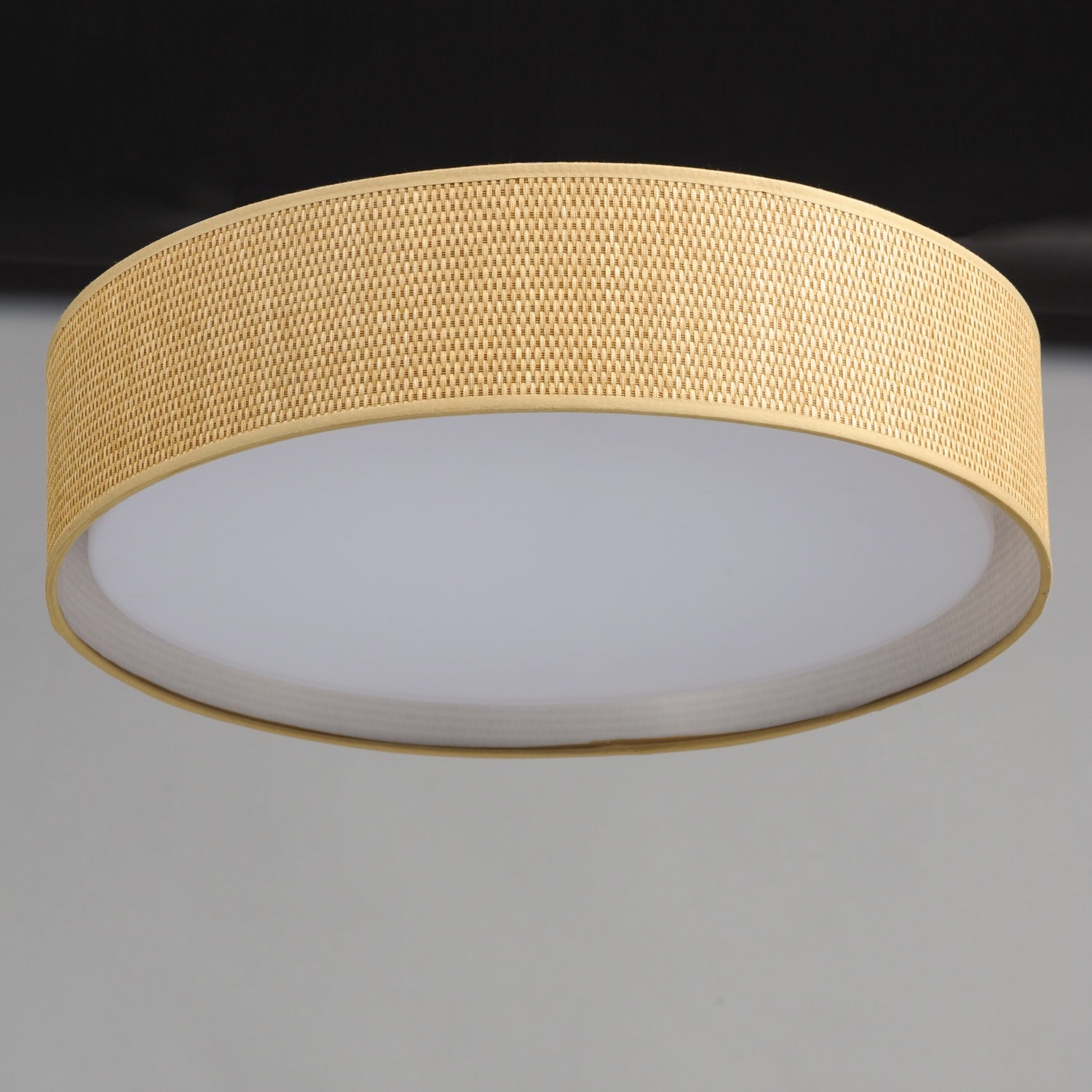 MAXIM, PRIME-FLUSH MOUNT, PENDANT LIGHT