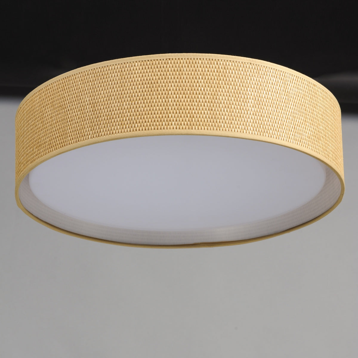MAXIM, PRIME-FLUSH MOUNT, PENDANT LIGHT