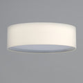 MAXIM, PRIME-FLUSH MOUNT, PENDANT LIGHT