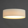 MAXIM, PRIME-FLUSH MOUNT, PENDANT LIGHT