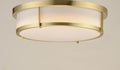 MAXIM, ROGUE LED-FLUSH MOUNT, FLUSH MOUNT CEILING LIGHTS
