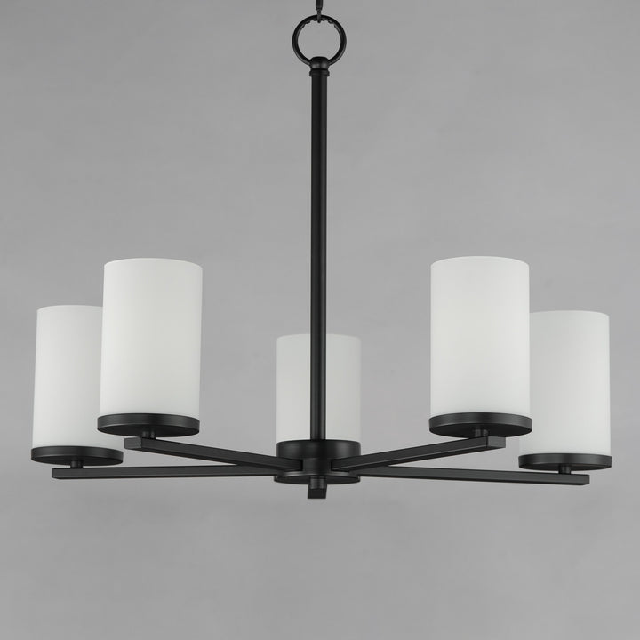 MAXIM, LATERAL-CHANDELIER, PENDANT LIGHT
