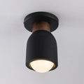 MAXIM, POMPEII-FLUSH MOUNT, SEMI FLUSH MOUNT LIGHT