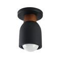 MAXIM, POMPEII-FLUSH MOUNT, SEMI FLUSH MOUNT LIGHT