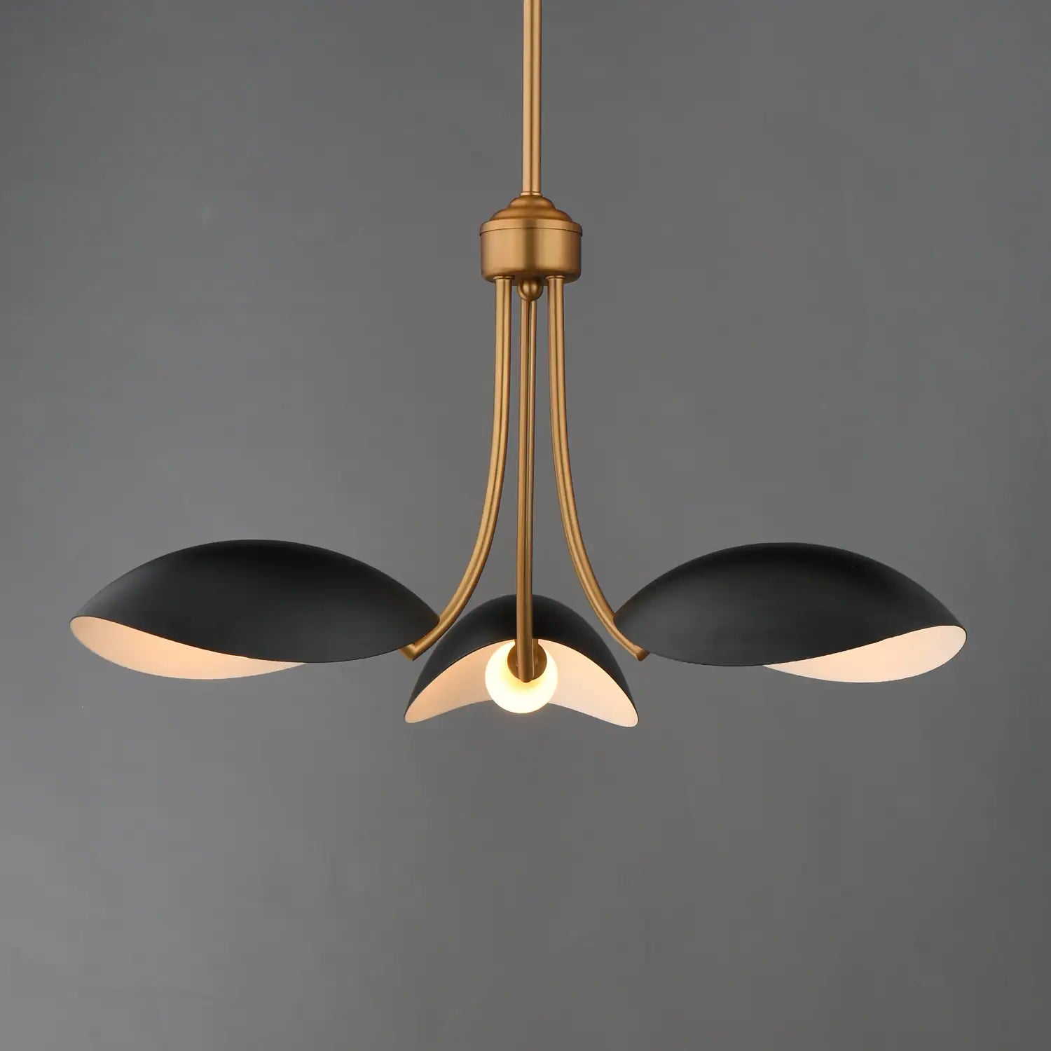 MAXIM, Maris Pendant, PENDANT LIGHT