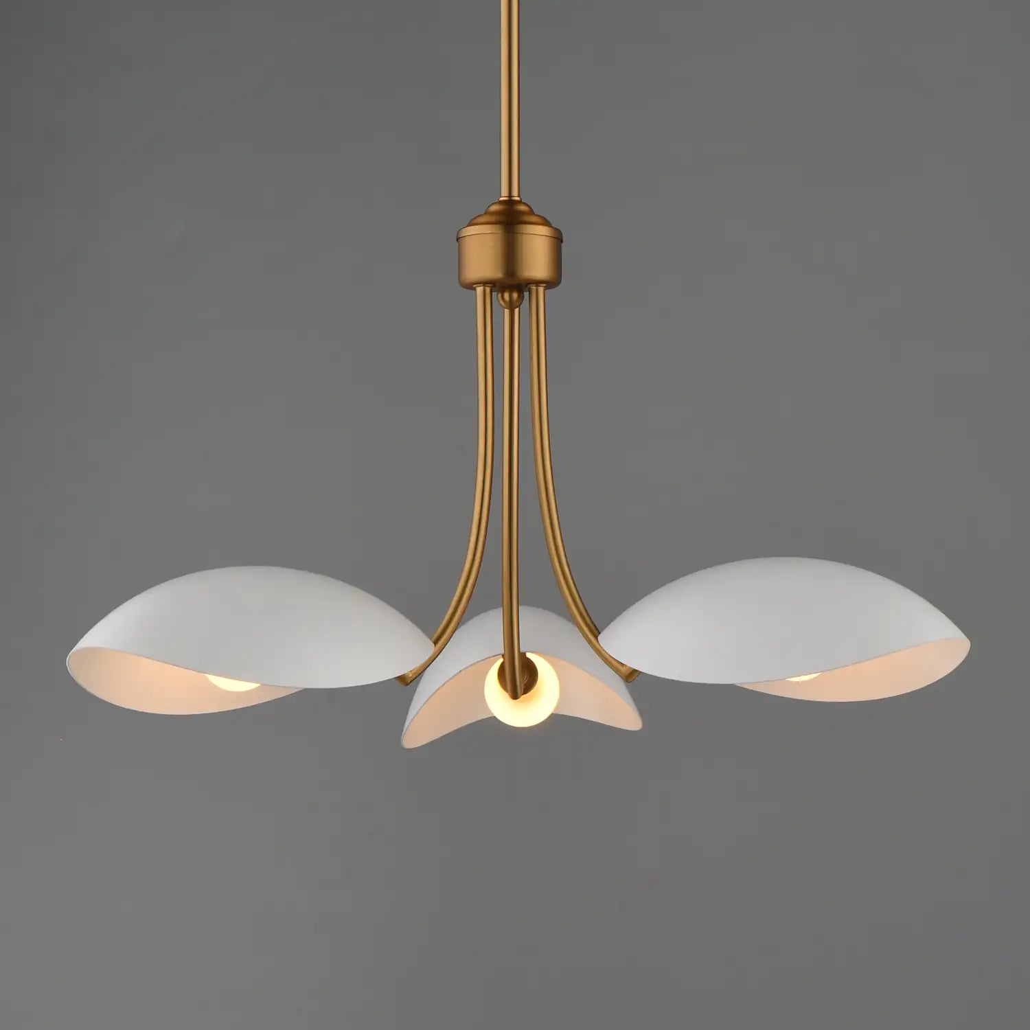 MAXIM, Maris Pendant, PENDANT LIGHT
