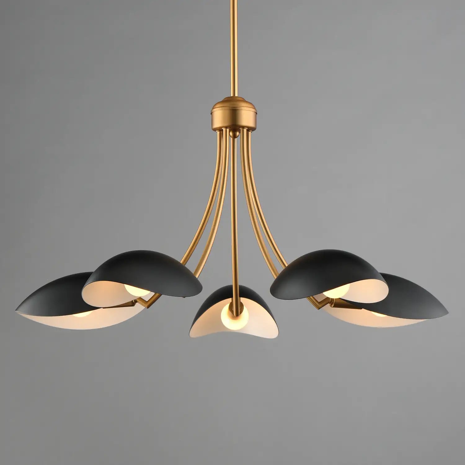 MAXIM, Maris Chandelier, CHANDELIER LIGHT