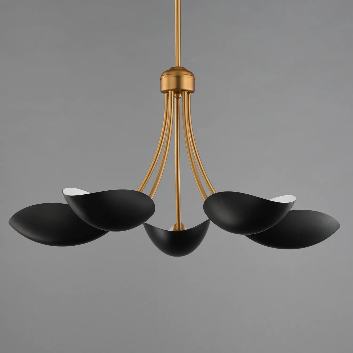 MAXIM, Maris Chandelier, CHANDELIER LIGHT