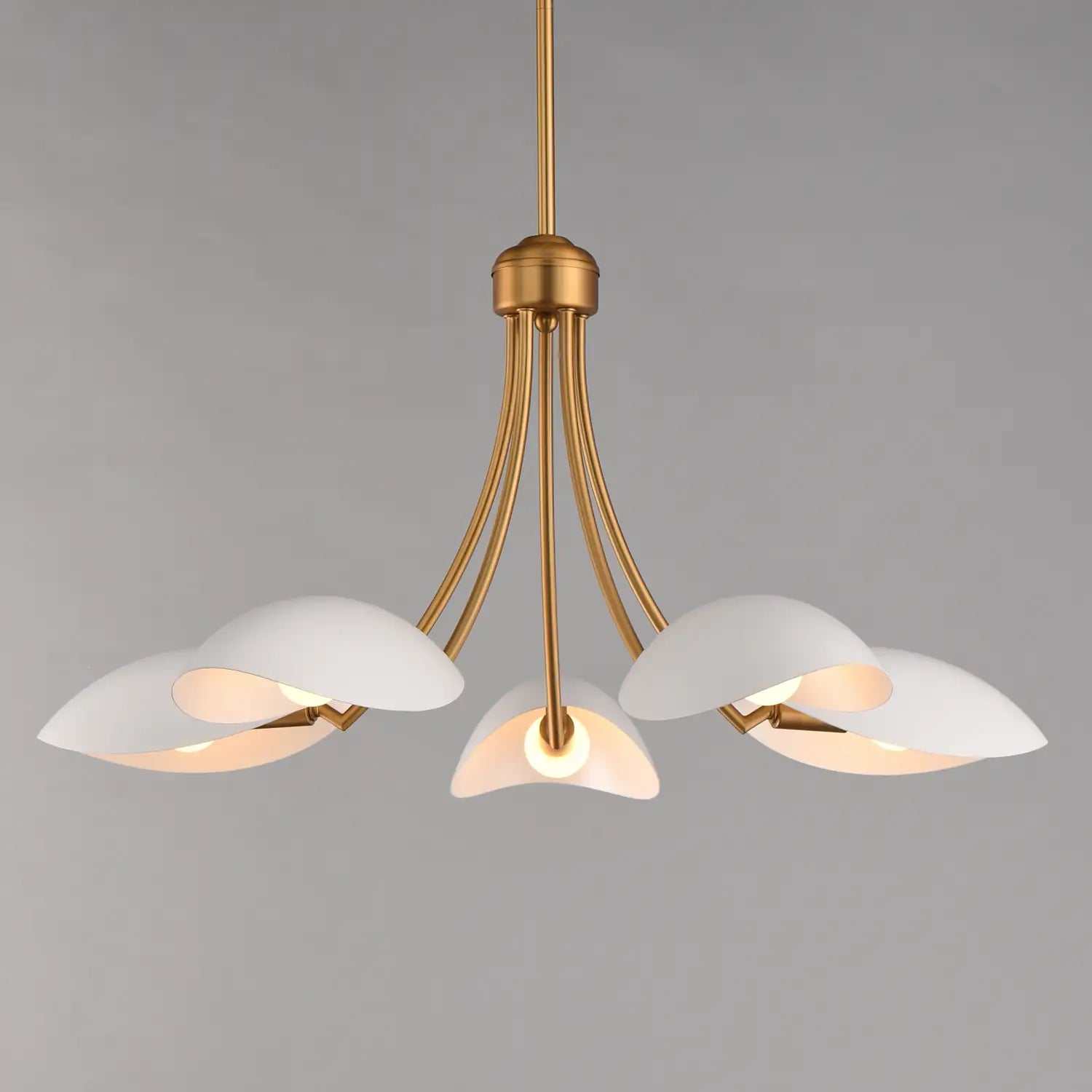 MAXIM, Maris Chandelier, CHANDELIER LIGHT
