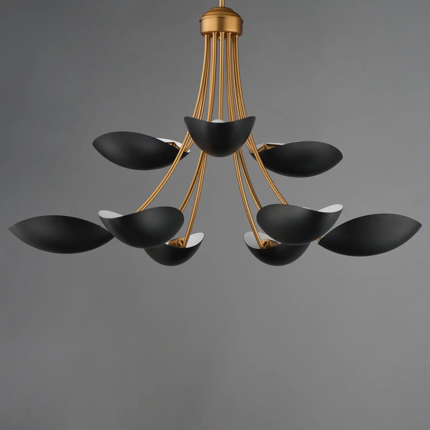 MAXIM, Maris Chandelier, CHANDELIER LIGHT
