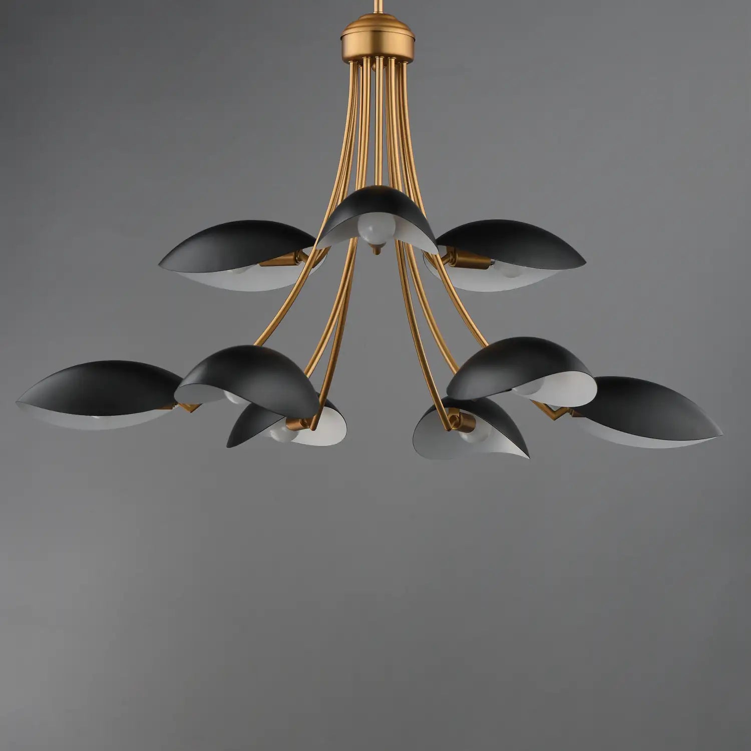 MAXIM, Maris Chandelier, CHANDELIER LIGHT