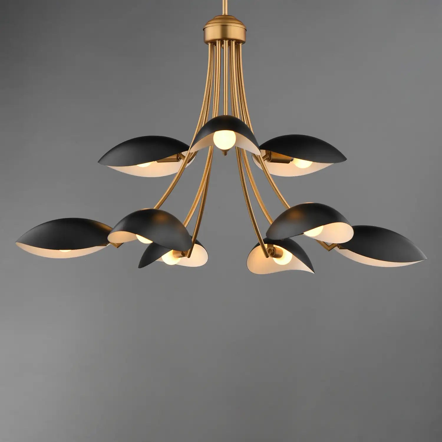 MAXIM, Maris Chandelier, CHANDELIER LIGHT