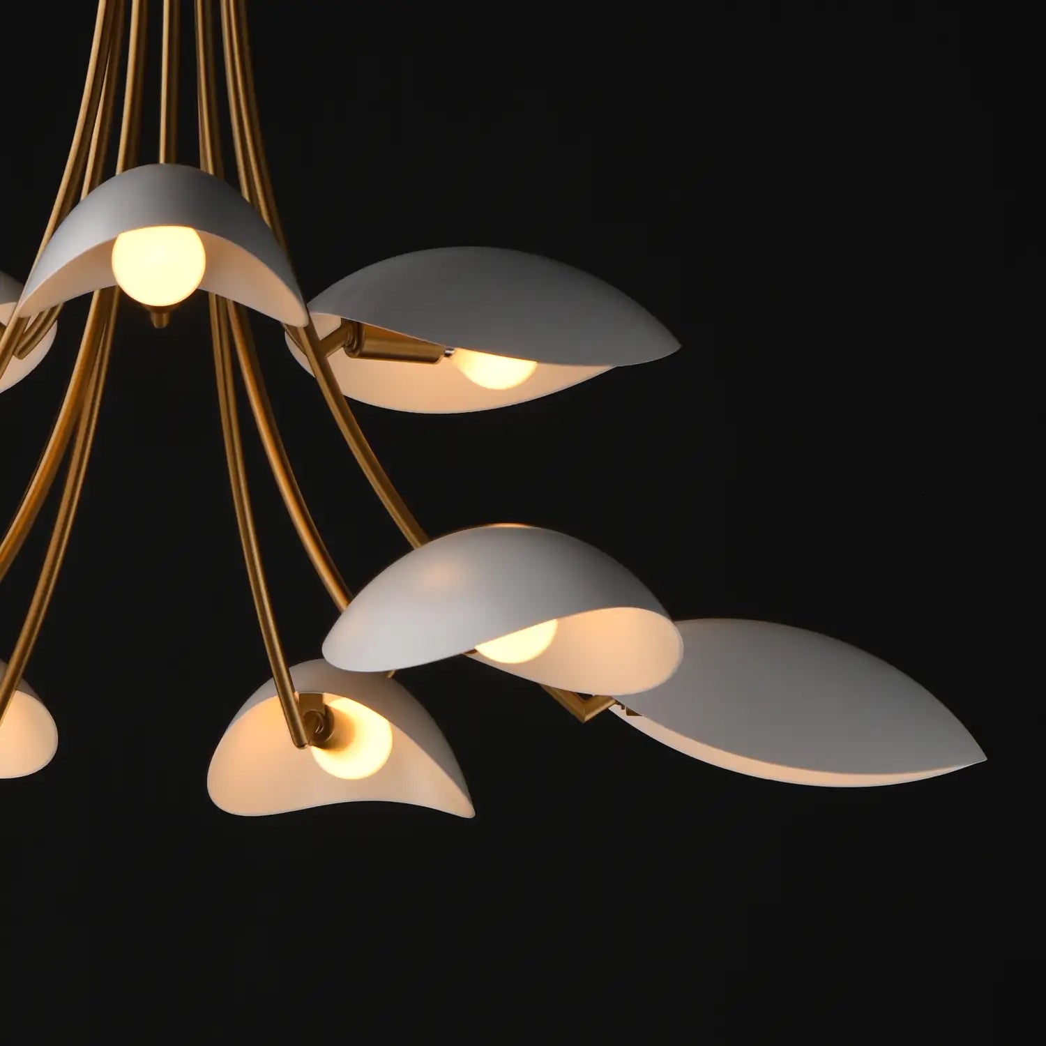 MAXIM, Maris Chandelier, CHANDELIER LIGHT