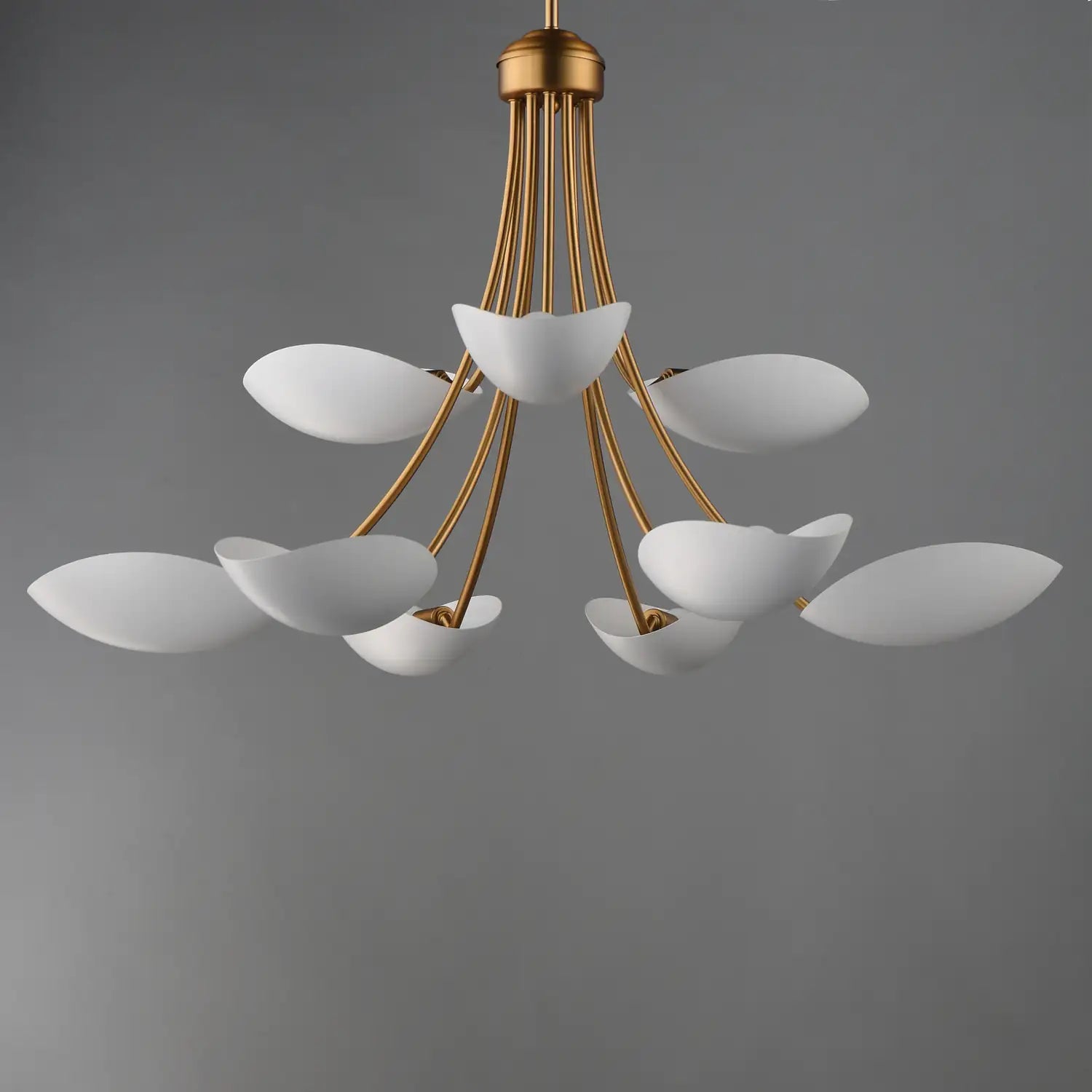 MAXIM, Maris Chandelier, CHANDELIER LIGHT